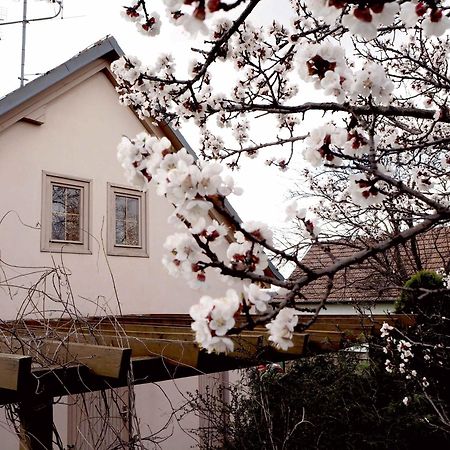 Ubytovani U Krizu Bulhary Exteriör bild