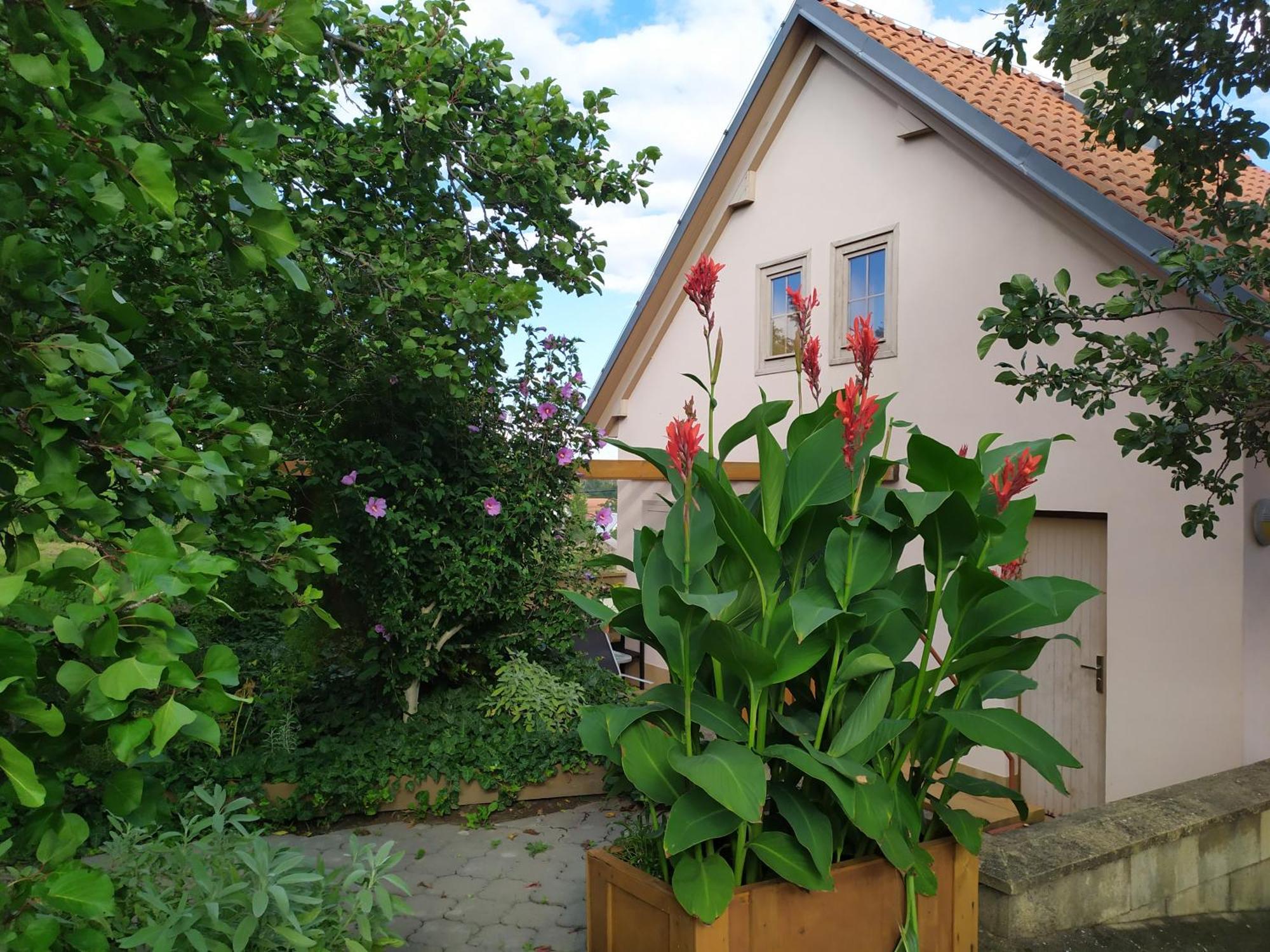 Ubytovani U Krizu Bulhary Exteriör bild